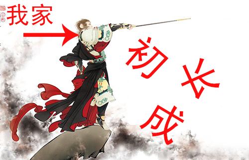 鶷ʥ